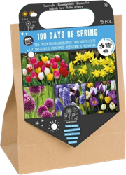 100 Days of Spring – 45 flower bulbs