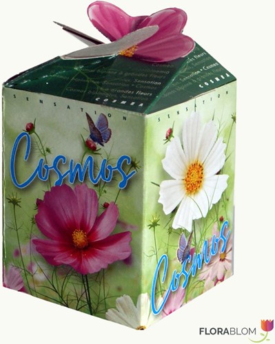 Cosmos Mix Greengift