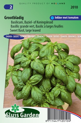 Basil