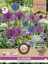 Allium Bee Delight Mix - Ornamental garlic