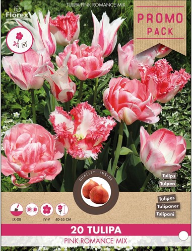 Tulips Pink Romance Mix
