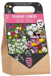 Fragrant Flowers Bag - Flower Bulbs