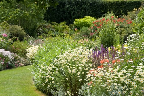 Romantische Witte border (met blauw / rode accenten)