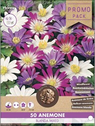 Anemone blanda mixed - Windflower