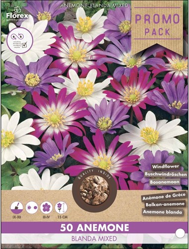 Anemone blanda mixed - Windflower