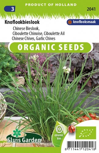 Chinese Chives, Garlic Chives EKO