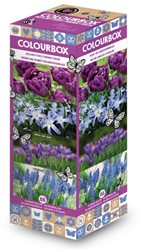 Colourbox Blauw – Bloembollen mix
