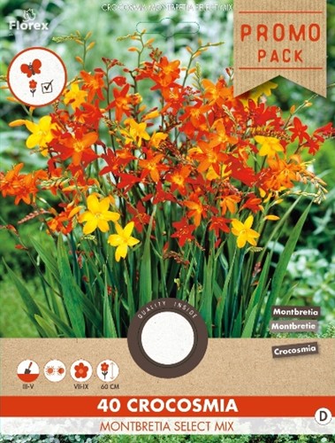 Crocosmia Mix - Montbretia