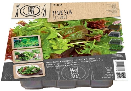 Propagator Lettuce