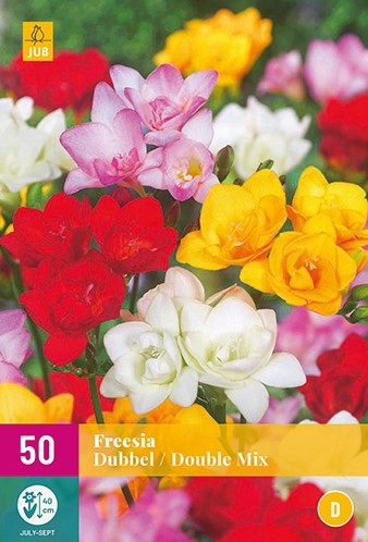 Freesia Double Mix-2