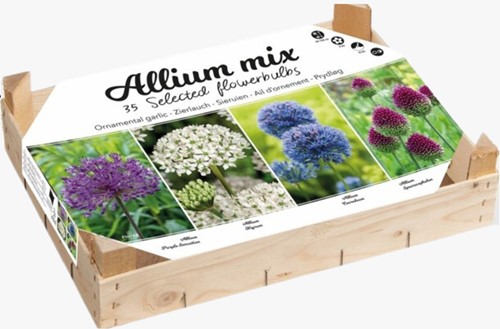 Allium Collection Box