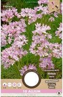 Allium Roseum-2
