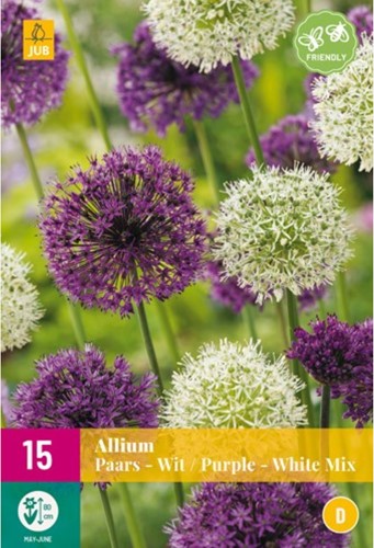 Alliums Purple & White Mix
