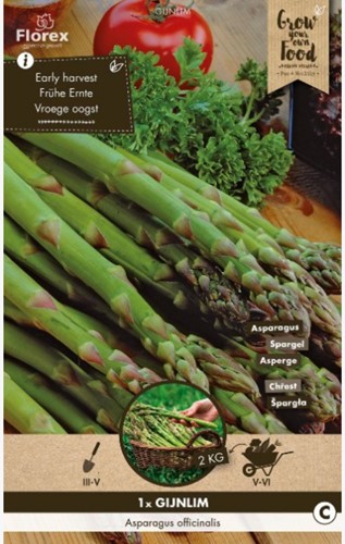 Green Asparagus
