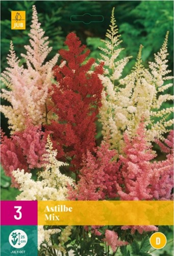 Astilbe Mix - False Goat's Beard