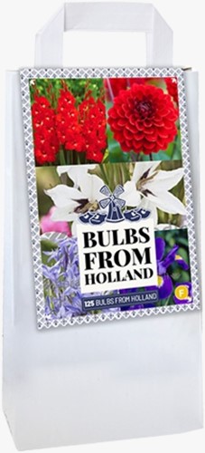 Bag Delft Blue Holland Mix