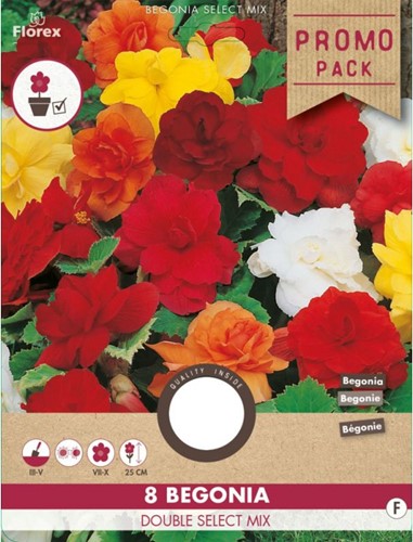 Begonia Double Mixed