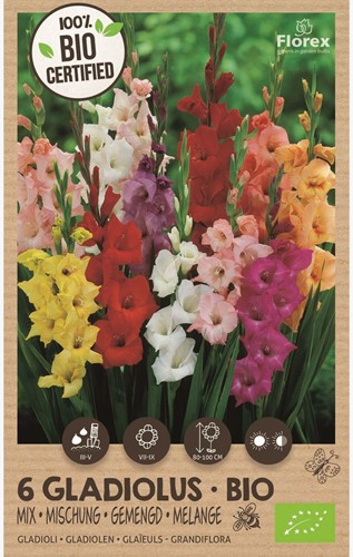 Organic bulbs: Gladiolus Mix