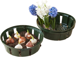 Planting bulbs basket 26 cm. - Nature