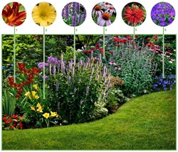 Long Flowering Border (6 plants:1m2)