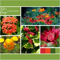Ready-made Flower Border Red & Orange (6 plants: 1 m²)
