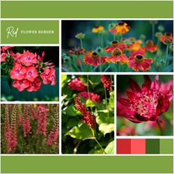 Ready-made Flower Border Red (12 plants: 2 m²)