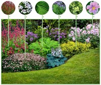 Colourful Shadow Garden Border (12 plants: 2m2)