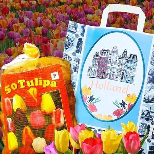 Delft Blue Giftbag with Tulips
