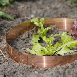 Copper Ring Slugs - Small 35cm / 5cm