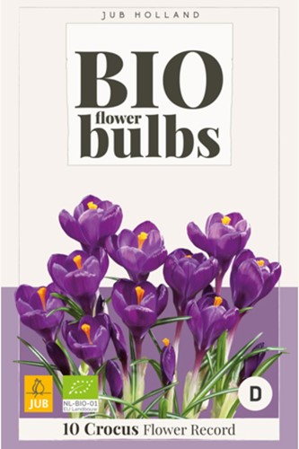 Crocus Flower Record (BIO) - Crocus vernus
