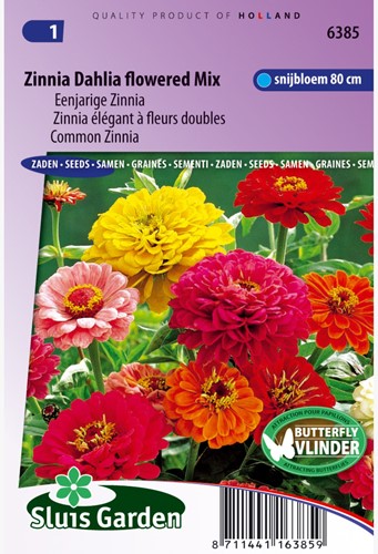 Zinnia Dahlia flowered Mix