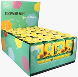 Buzzy flower gift (48 Display Units) Sunflower Helianthus