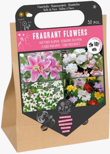 Fragrant Flowers Bag - Flower Bulbs