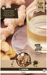 Ginger root - Zingiber officinalis