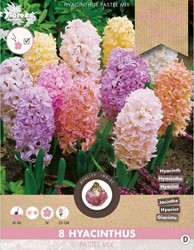 Hyacinths Pastel Mixed - Hyacinthus