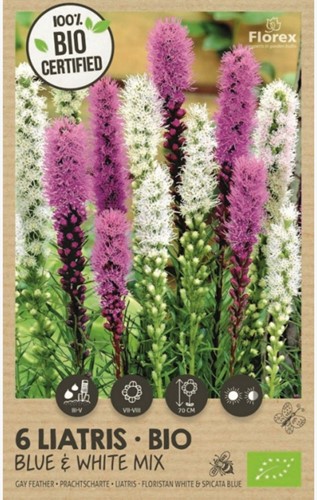 Liatris blue & white mix - Gay Feather 100% BIO