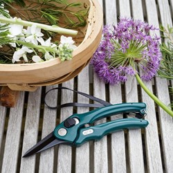RHS Florist's Shear - Burgon & Ball