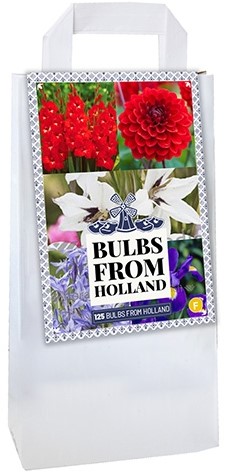 Bag Delft Blue Holland Mix