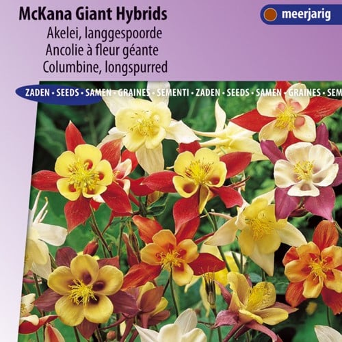 Columbine McKana Giant Hybrids, longspurred - Aquilegia