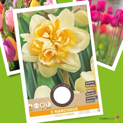 Daffodil Peach Cobbler