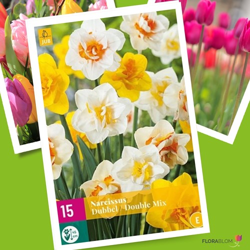 Daffodils Double Mix
