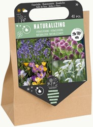Naturalising bulb mix – 40 flower bulbs