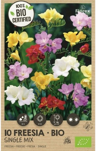 Organic bulbs: Freesia Single Mix