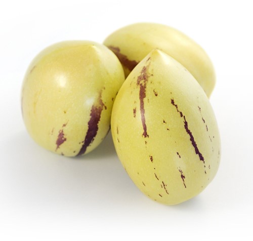 Pepino melon - Solanum muricatum