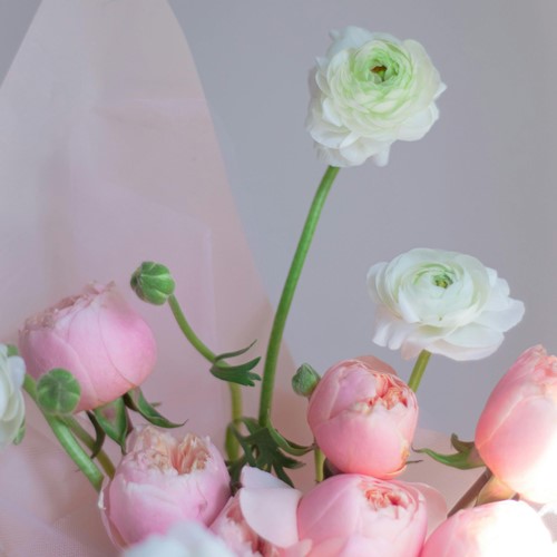 Ranunculus White & Pink Mix