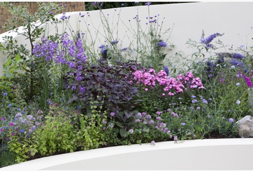 Tuinborder Vlinder en Bijen Modeste Herwig