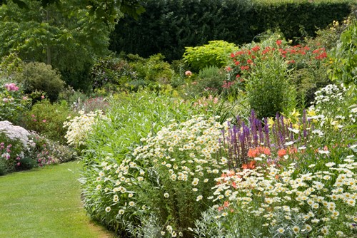 Romantische Witte border (met blauw / rode accenten)