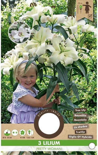Tree Lily Pretty Woman - Lilium OT hybrid-2