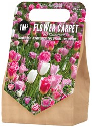 1 m² Fata Morgana Bulb Collection