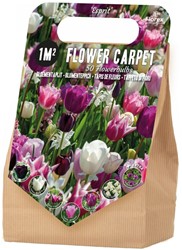 1 m² Esprit Bulb Collection - 50 Flower bulbs